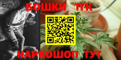 винт Партизанск