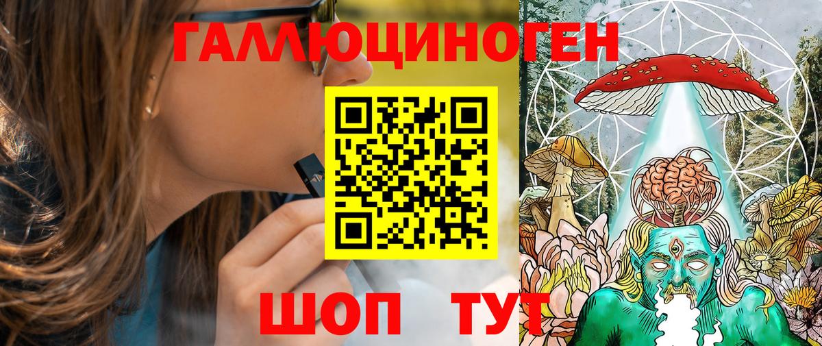 Курчалой  Псилоцибиновые грибы MAGIC MUSHROOMS  Вход с VPN 