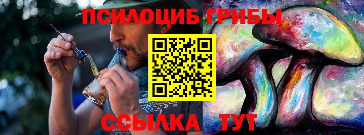 Псилоцибиновые грибы мухоморы Курчалой